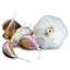 Romanian Red Hardneck Garlic - USDA Certified Organic