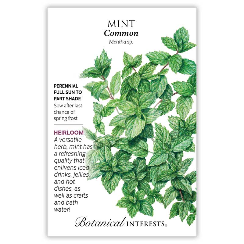 peppermint seeds for planting Common Mint Seeds – Epic Gardening