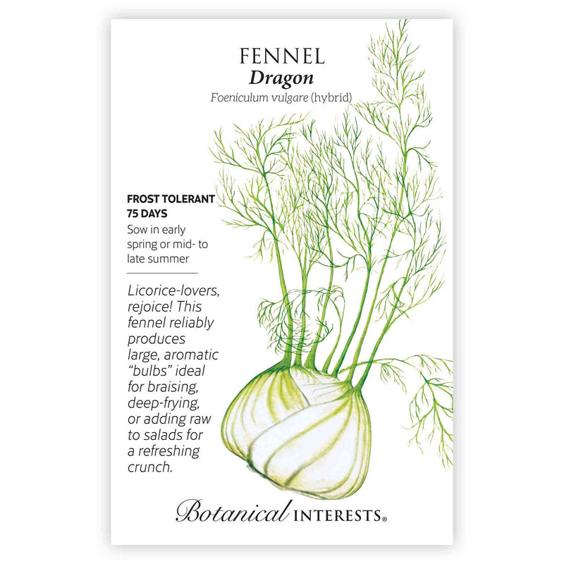 Dragon Fennel Seeds