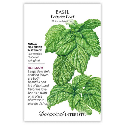 Lettuce Leaf Basil Seeds Product Image