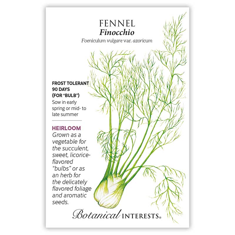 Finocchio Fennel Seeds Product Image