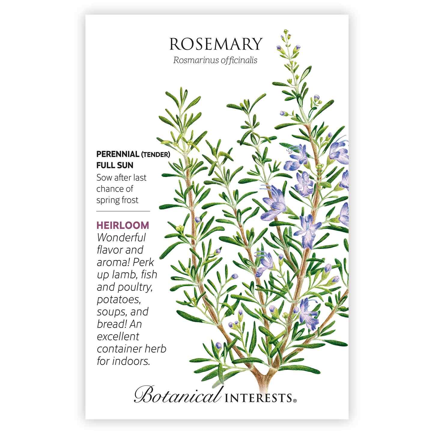 plant rosemary seeds Rosemary Seeds – Epic Gardening