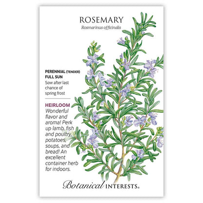 Rosemary Seeds