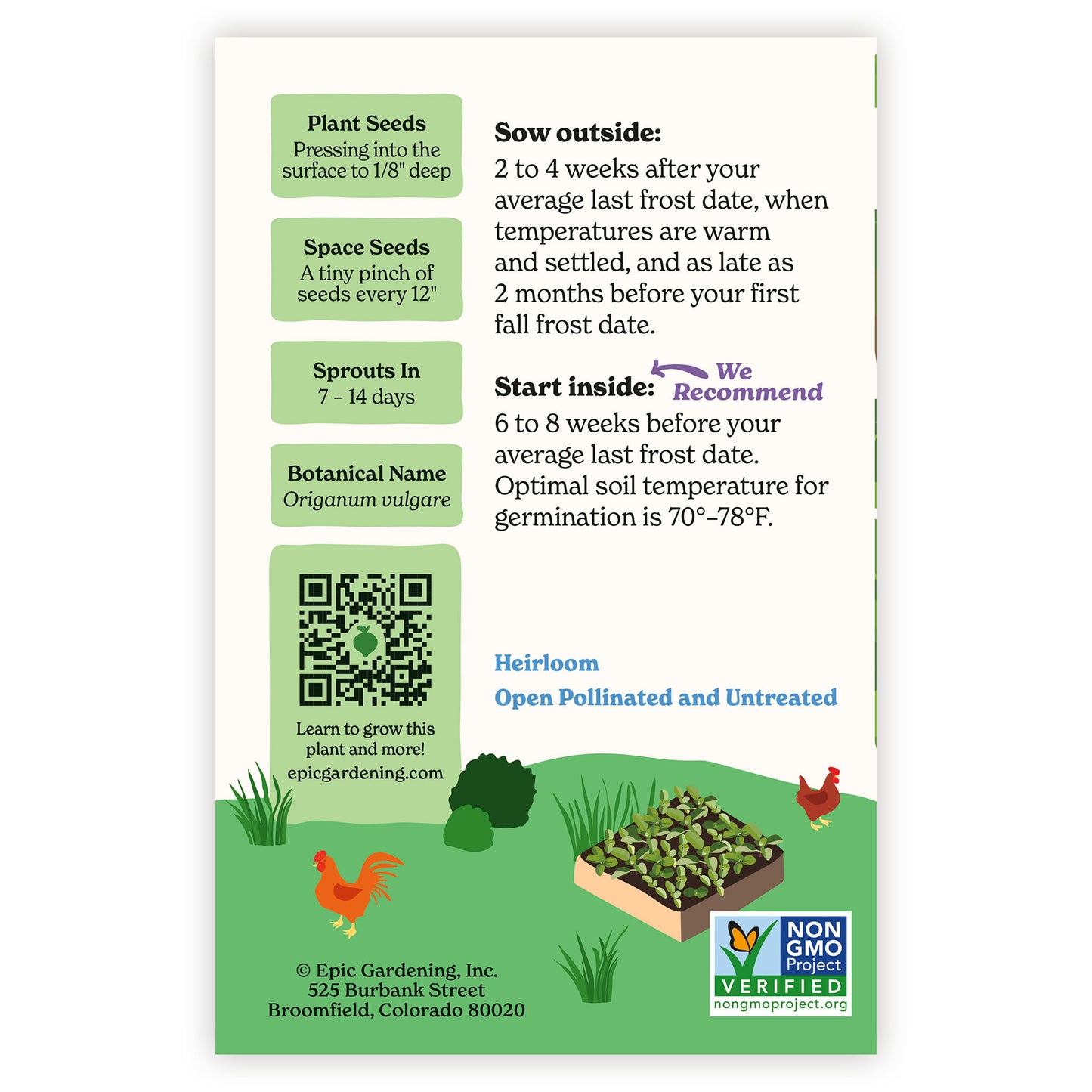 Greek Oregano