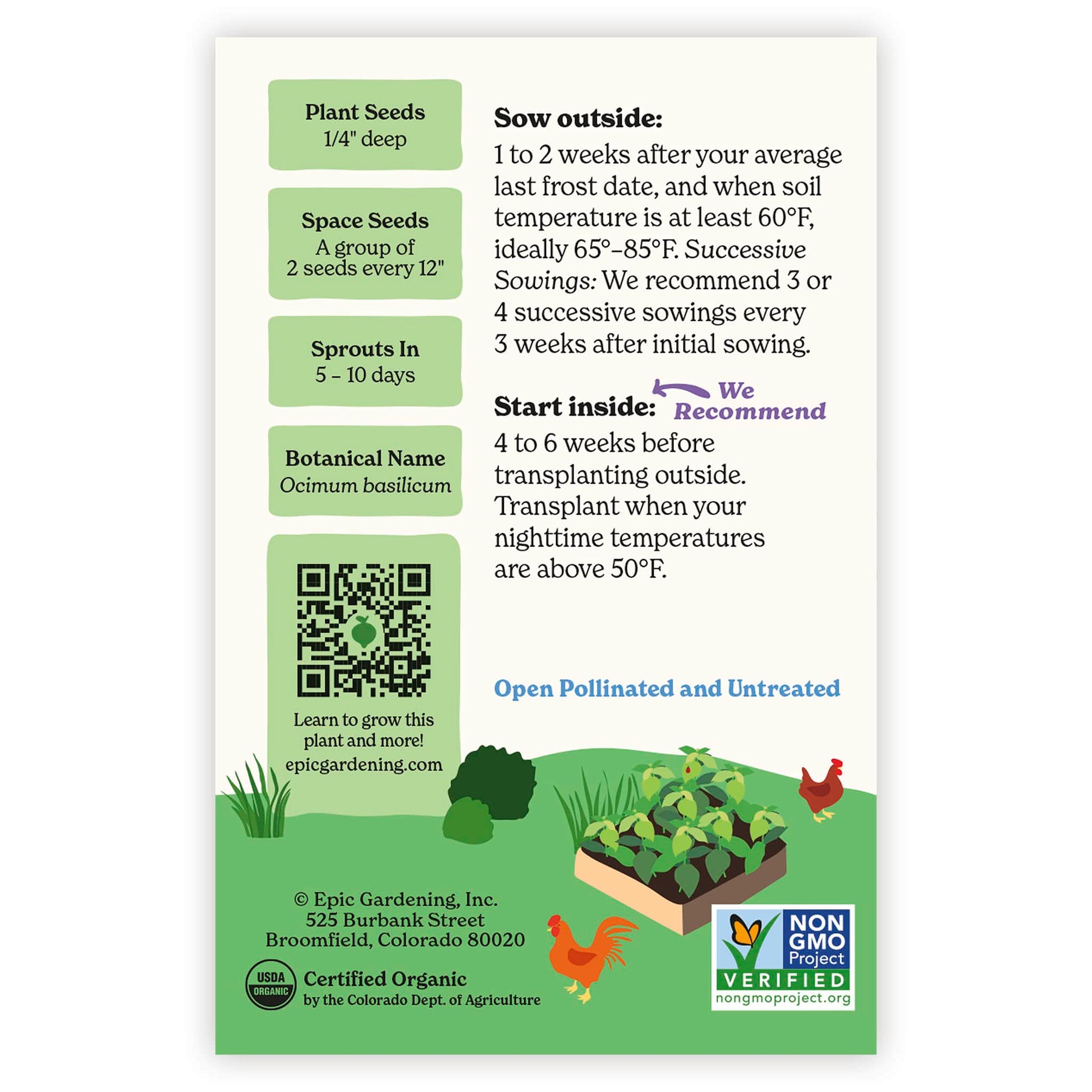planting genovese basil seeds Genovese Basil – Epic Gardening