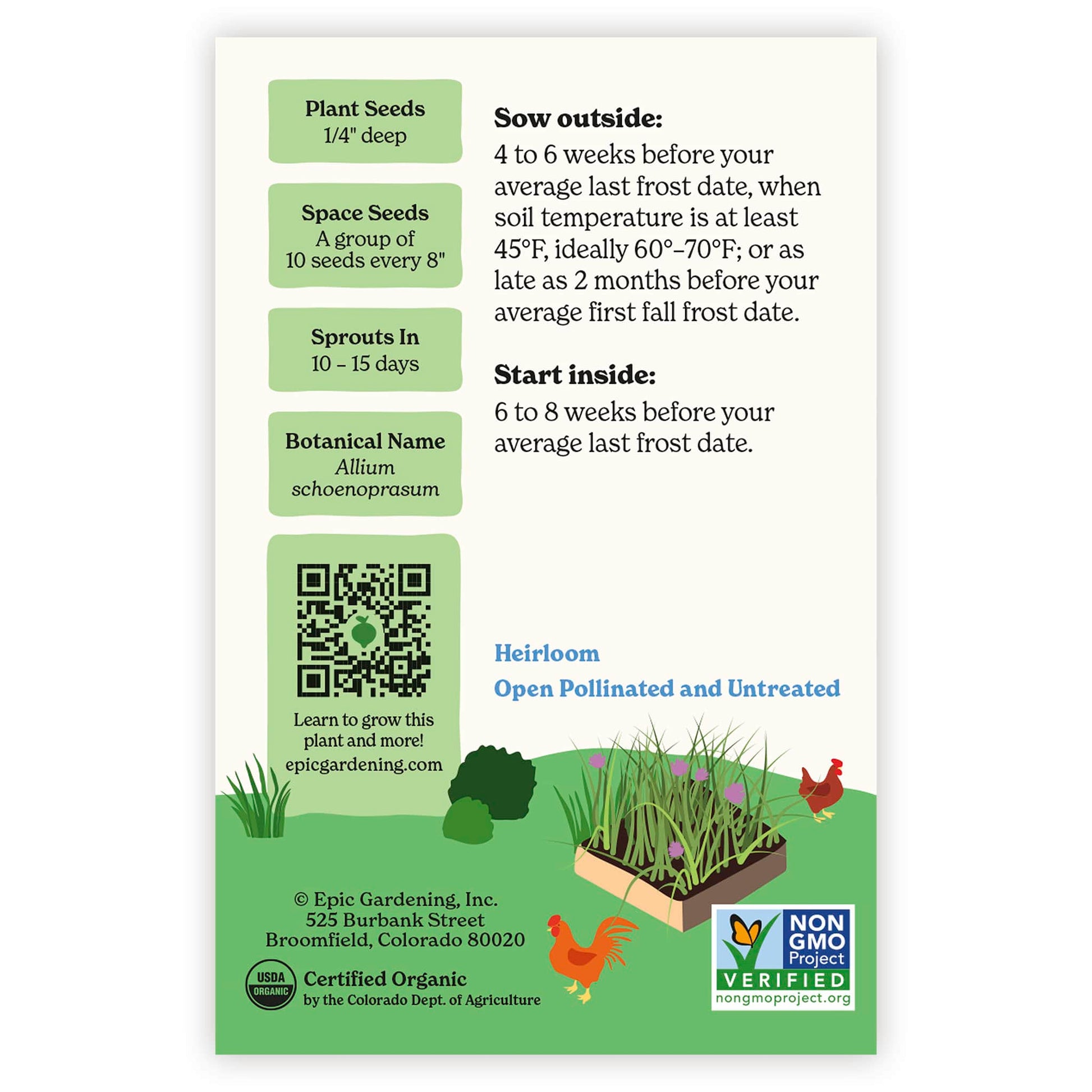 chive seed planting instructions Common Chives – Epic Gardening