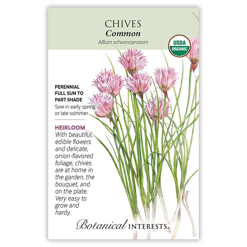 planting chives seeds Common Chives Organic Seeds