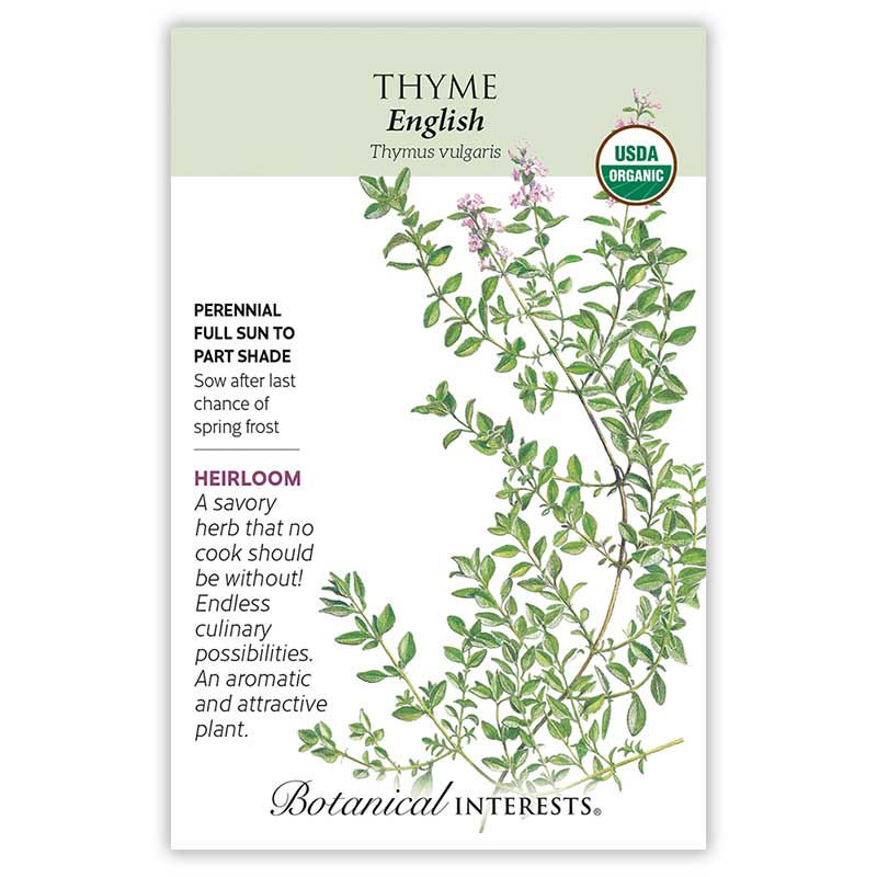 thyme garden seed company English Thyme Seeds Organic