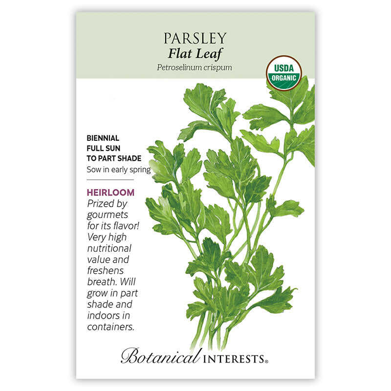 plant parsley seeds indoors Parsley Italian Giant Org