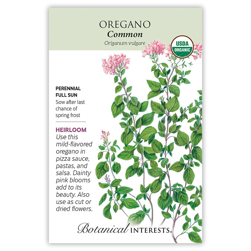 Common Oregano Seeds Product Image