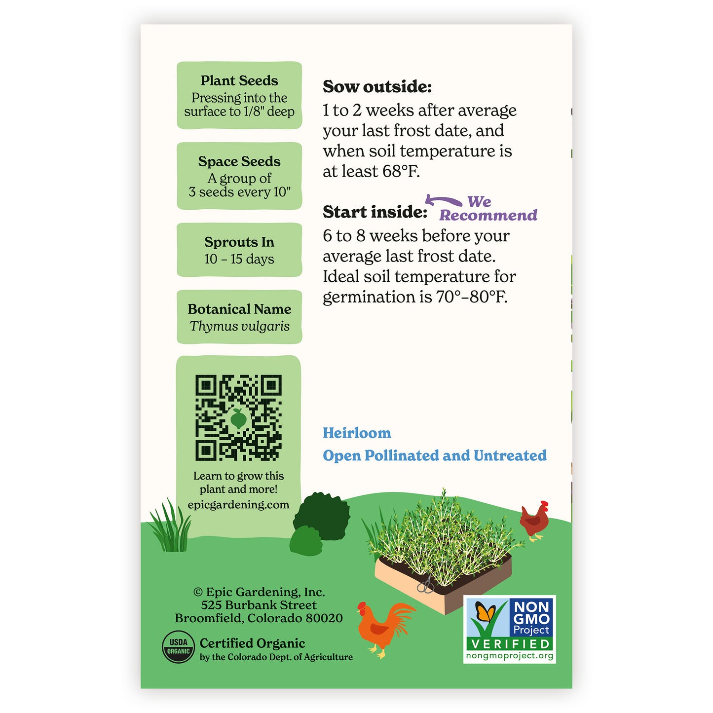 English Thyme