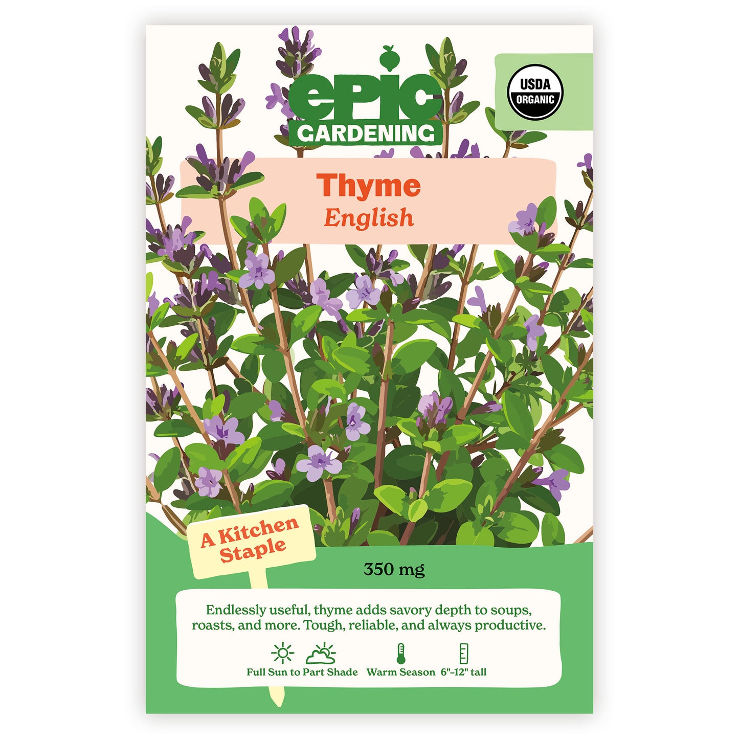 English Thyme