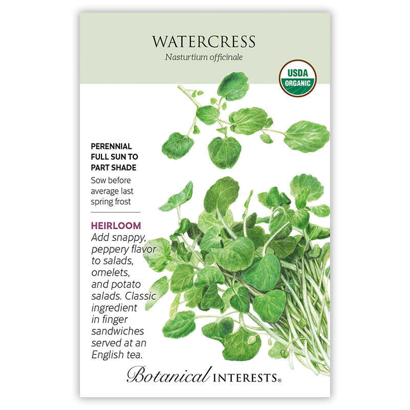 planting watercress seeds Botanical Interests Watercress Organic