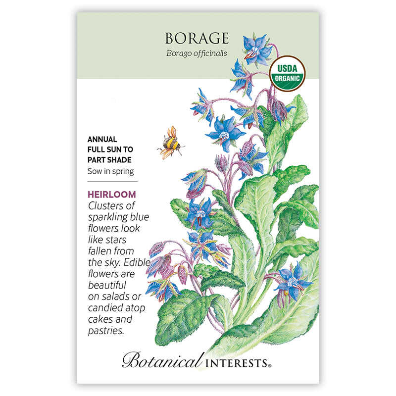 plant borage seeds Borage Seeds