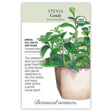 Candy Stevia Seeds