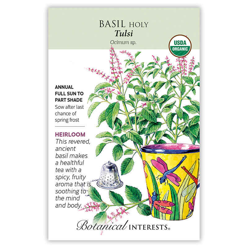 Tulsi Holy Basil Seeds