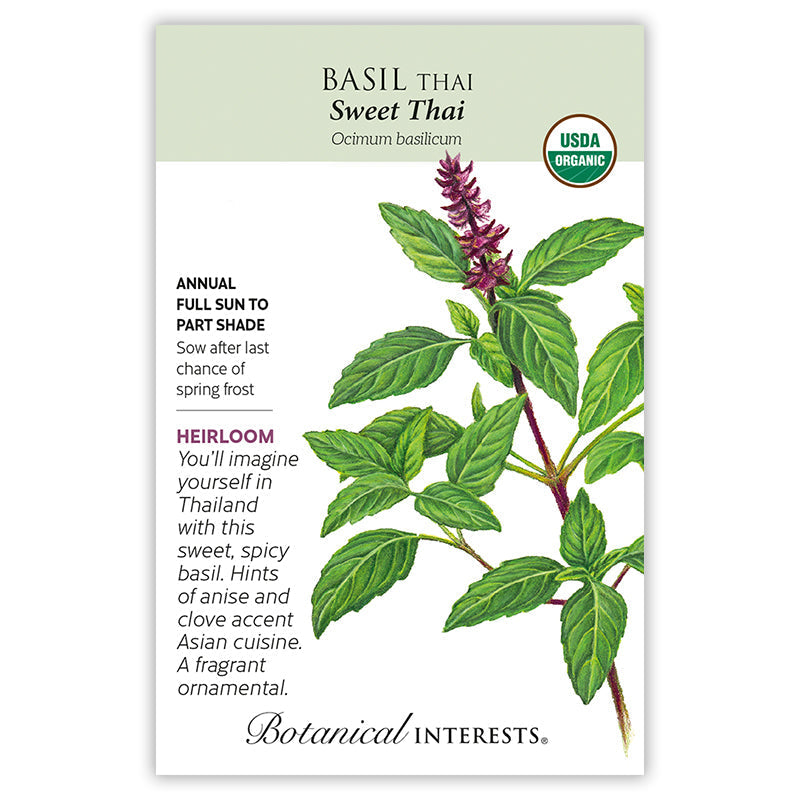 Sweet Thai Basil Seeds Product Image