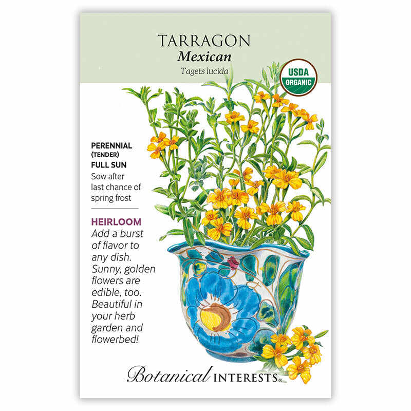 mexican mint marigold seeds Mexican Tarragon Seeds