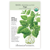 Noga Basil Seeds