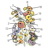 Water-Wise Garden Flower Mix Seeds