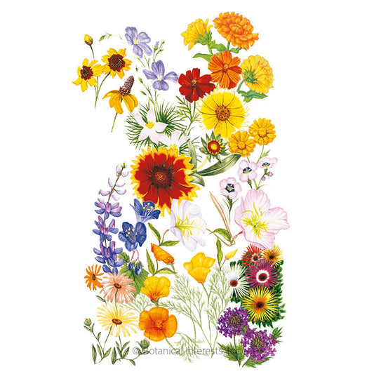 Water-Wise Garden Flower Mix Seeds Product Image
