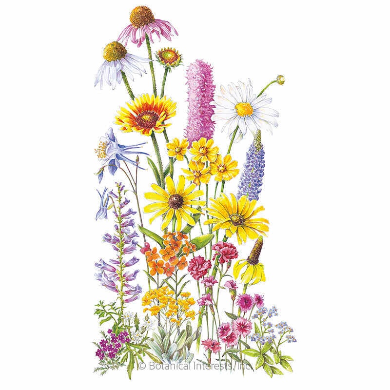 Perennial Bloom Flower Mix Seeds