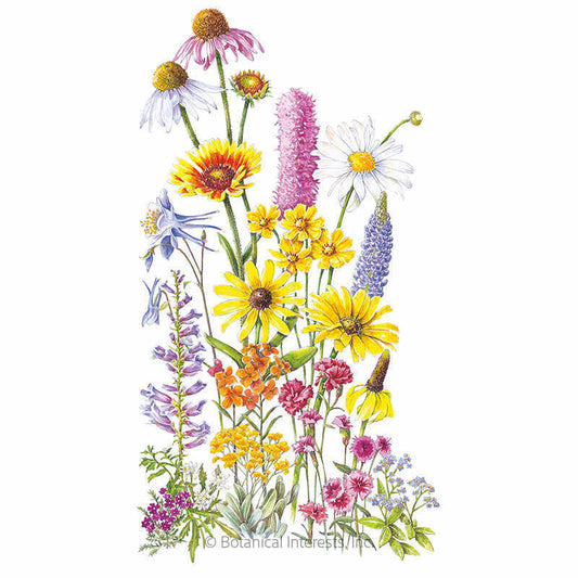 Perennial Bloom Flower Mix Seeds