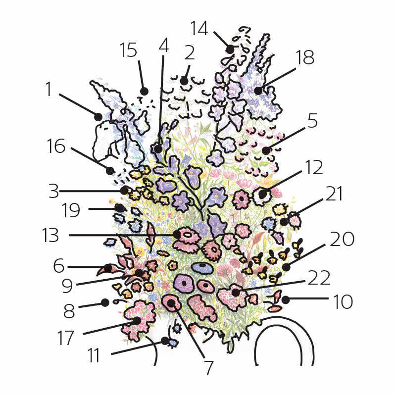 Grandmother's Cut Flower Garden Flower Mix Seeds