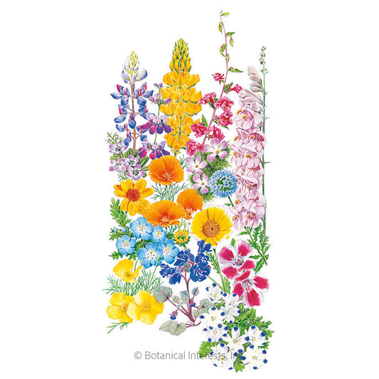 Flower Mixes – Epic Gardening