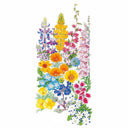 California Color Flower Mix Seeds