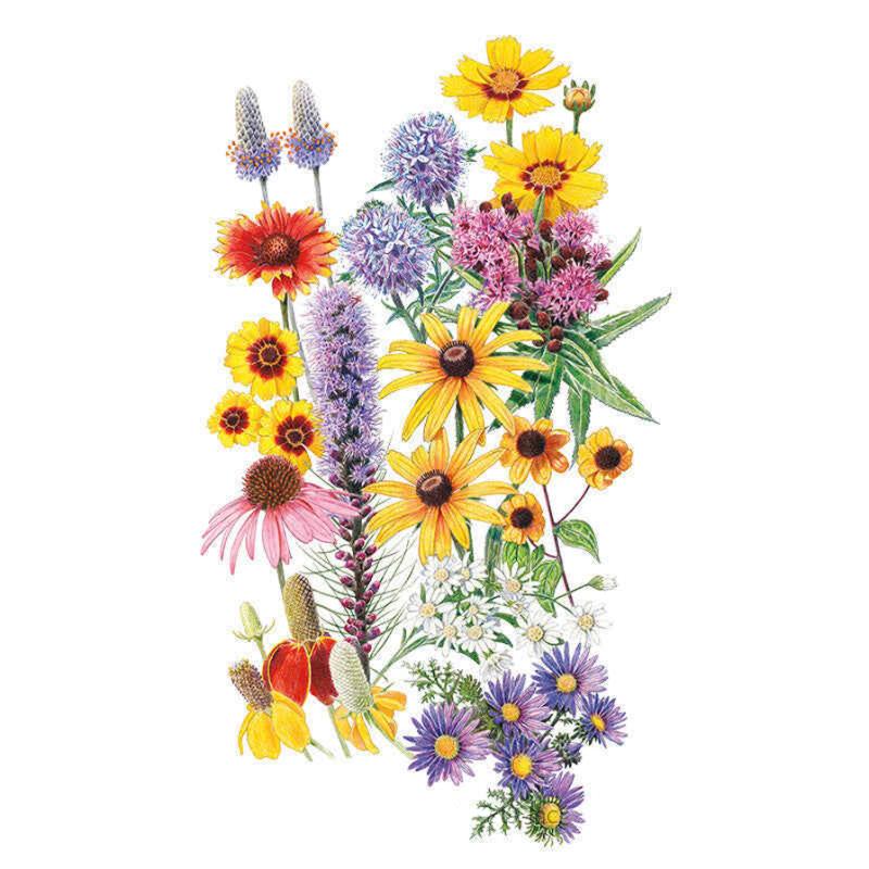Prairie Splendor Flower Mix Seeds