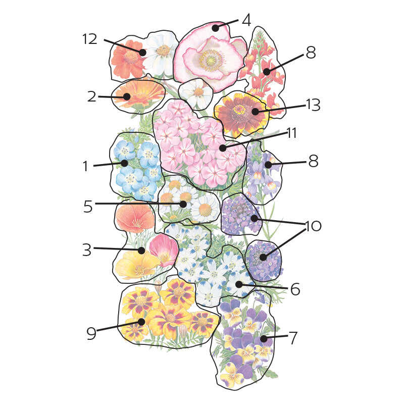 seasonal flower seeds Three-Season Bloom Flower Mix