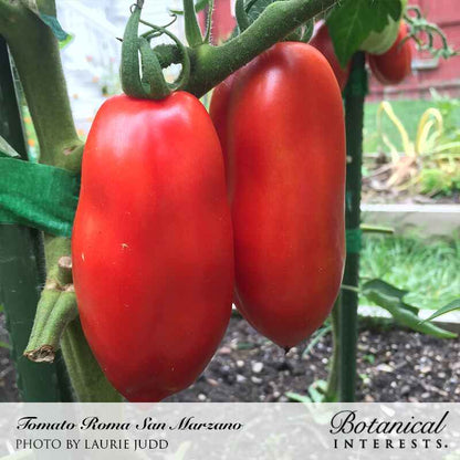 San Marzano Roma Pole Tomato Seeds