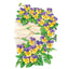 Johnny-Jump-Up Viola Seeds