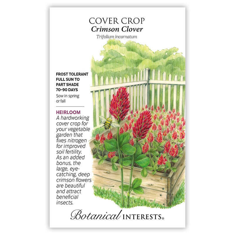 red clover seed planting Crimson Clover Cover Crop Seeds