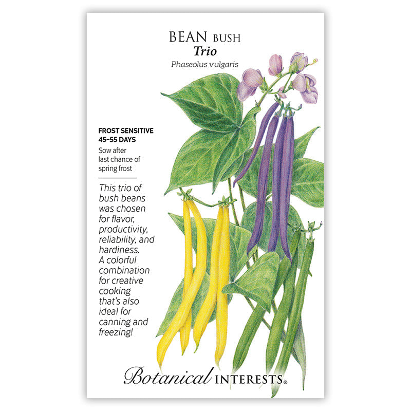 Trio Bush Bean Seeds Product Image