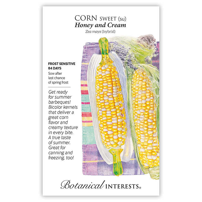 Honey and Cream Sweet Corn Seeds