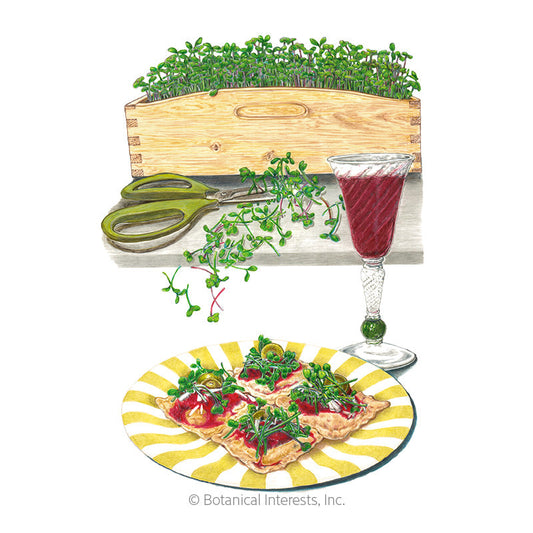 Italian Amaro Blend Microgreens Seeds Product Image