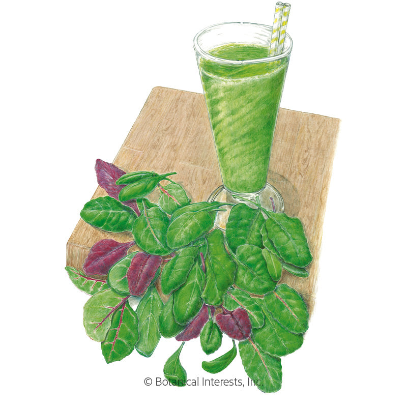 Smoothie Mix Baby Greens Seeds