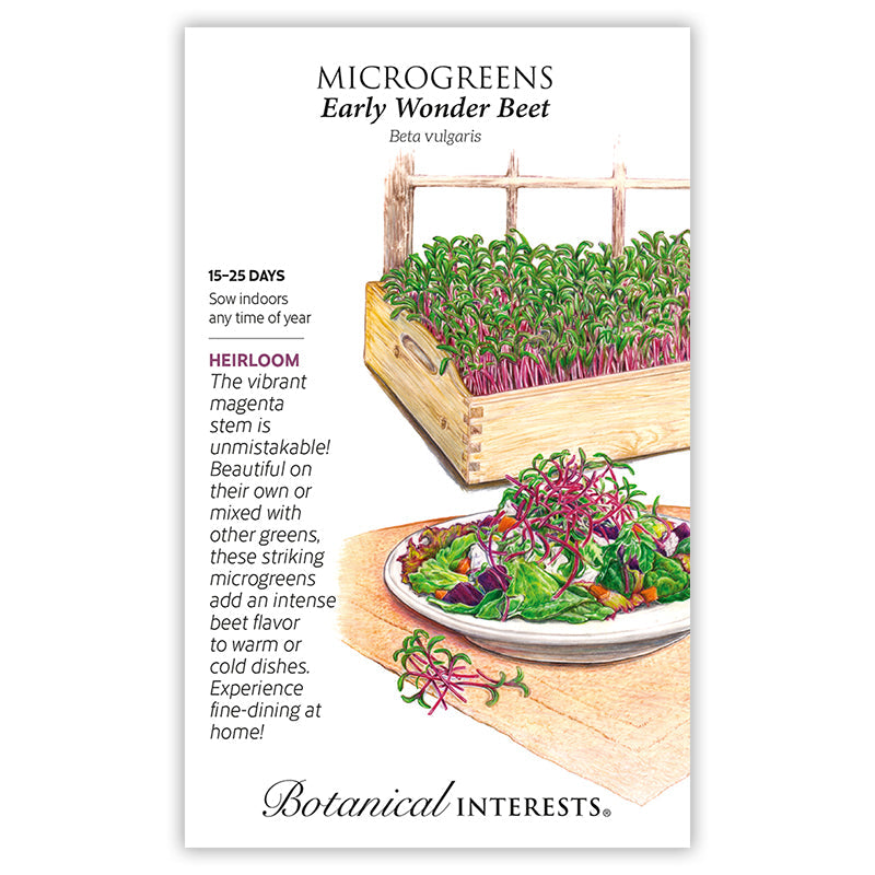 Early Wonder Beet Microgreens Seeds Product Image