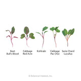Mild Mix Microgreens Seeds