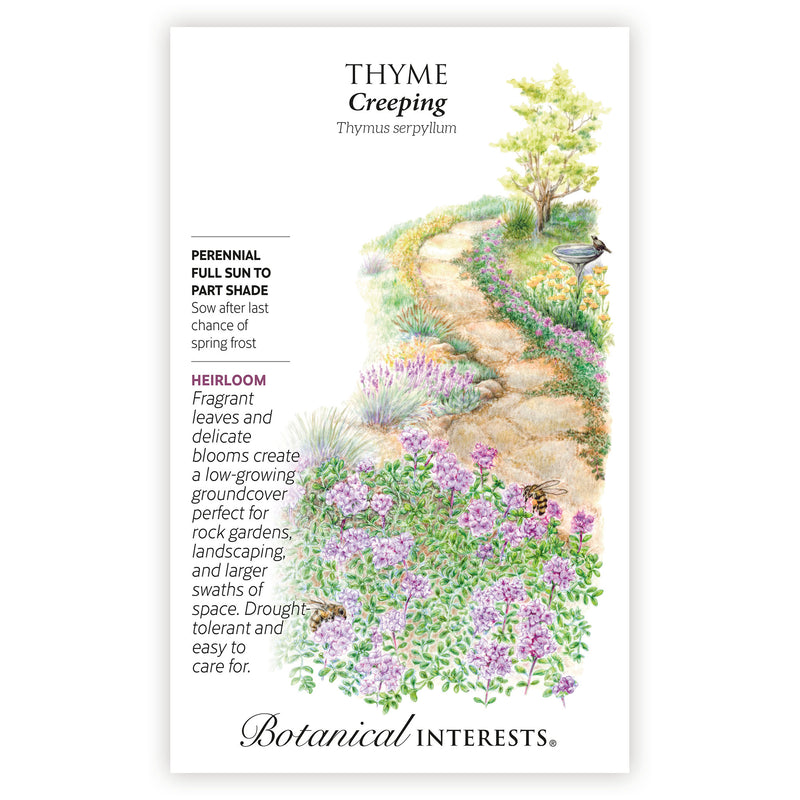 Creeping Thyme Seeds
