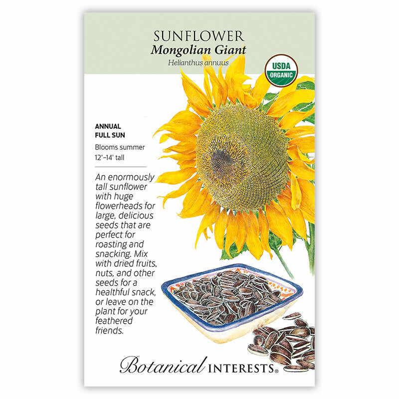jumbo sunflower seeds for planting Mongolian Giant Sunflower Seeds – Epic Gardening