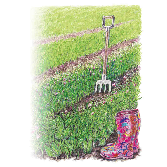 Soil Builder Peas and Oats Cover Crop Seeds