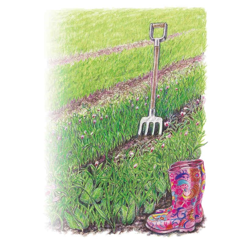 Soil Builder Peas and Oats Cover Crop Seeds