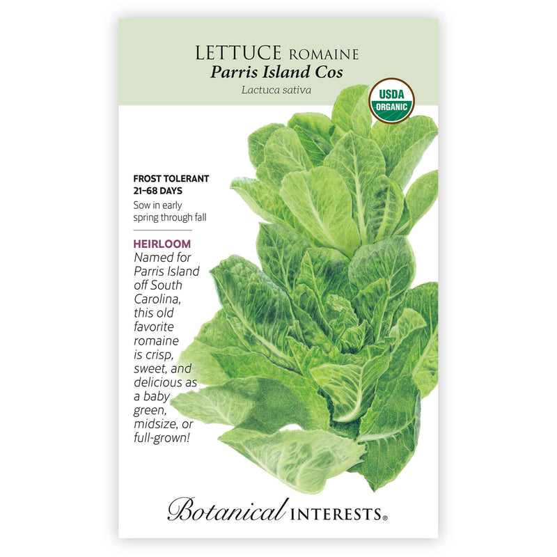 Paris Island Cos Romaine Lettuce Seeds – Organic Agri Store Paris Island Cos Romaine Lettuce Seeds – Organic Agri Store