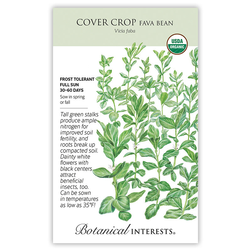 Fava Bean Cover Crop Seeds Product Image