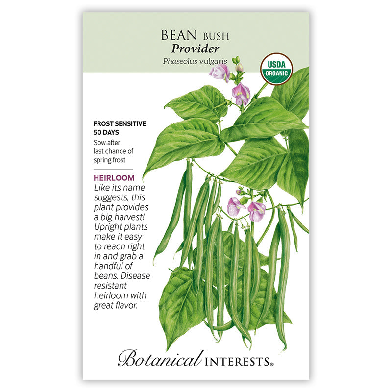 Provider Bush Bean Seeds