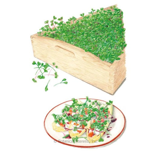 Mellow Blend Microgreens Seeds Product Image
