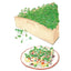Mellow Blend Microgreens Seeds Product Image